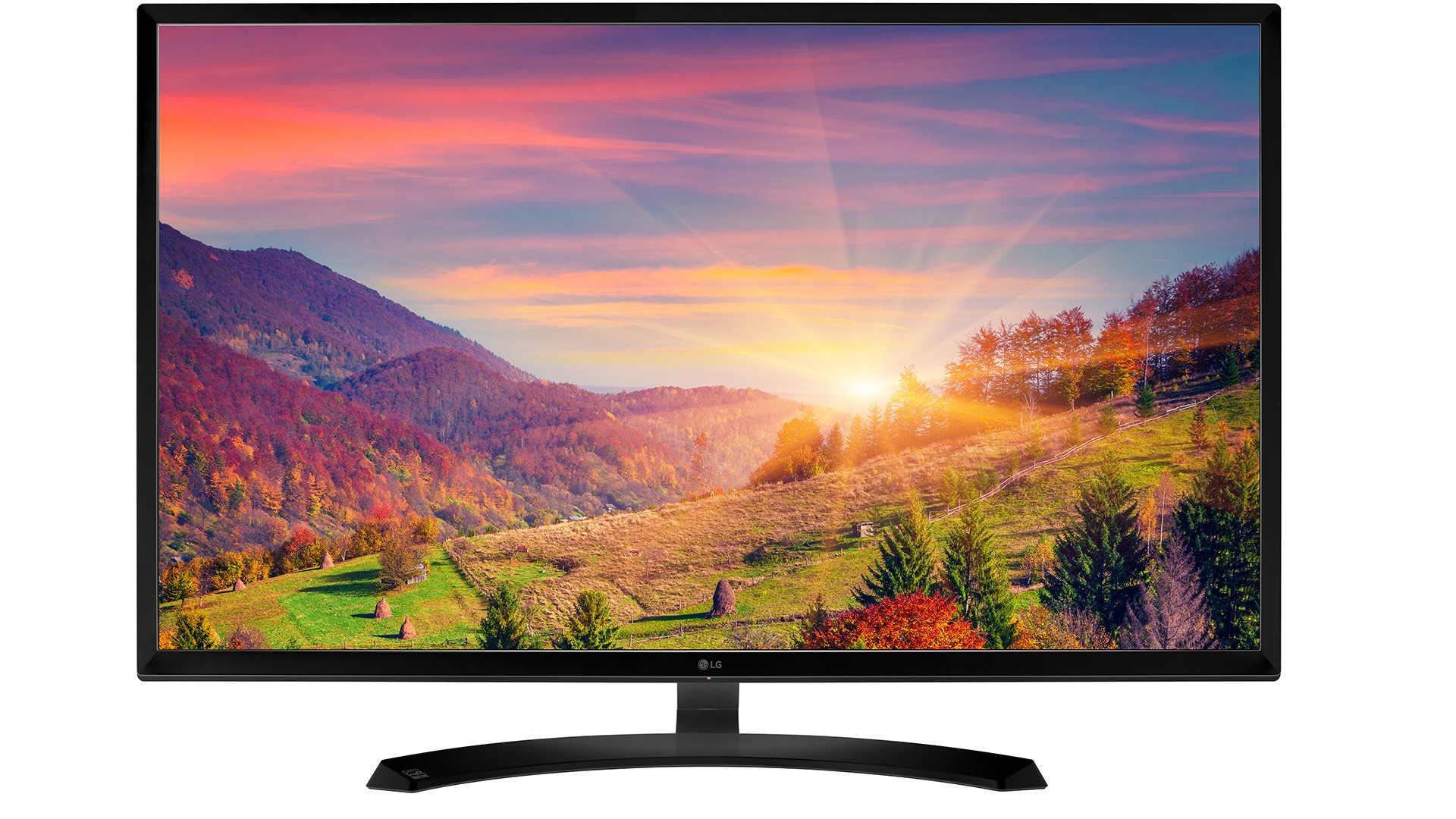 Monitory