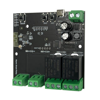 Wifi Relé MSR-12-2x2